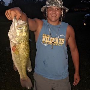 Meet your Posher, Brennan